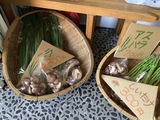 里の恵み　